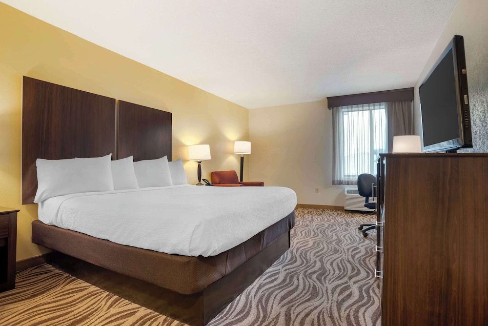 Standard Room, 1 King Bed, Non Smoking, Refrigerator & Microwave (Pet Friendly) photo 2