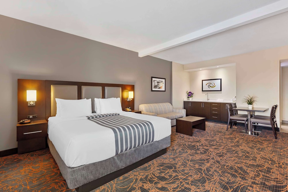 Executive Room, 1 King Bed, Non Smoking, Refrigerator & Microwave (Queen sofabed;Larger Room) - Photo 1