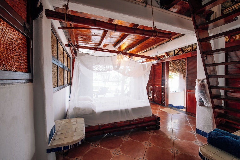 Palapa - Photo 1