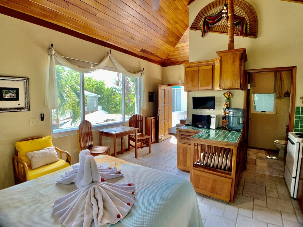 Deluxe Studio Suite photo 3