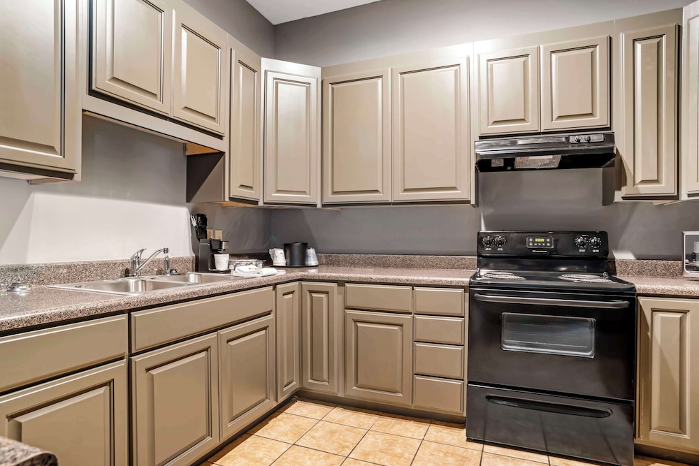 Executive Apartment, 1 Queen Bed, Non Smoking, Kitchen (with Sofabed) photo 3