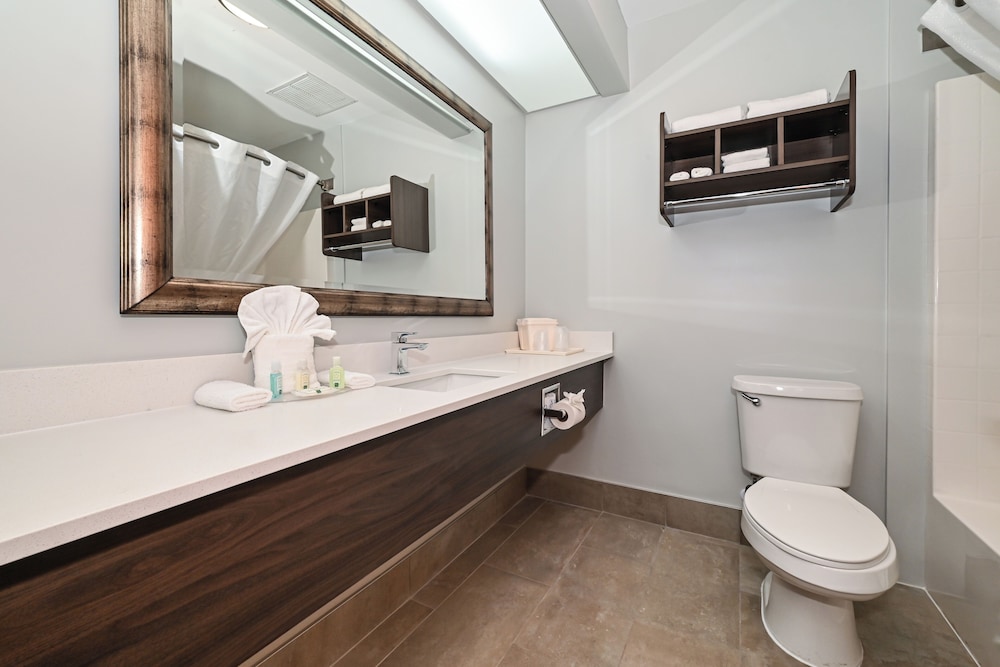 Suite, Non Smoking - Photo 8