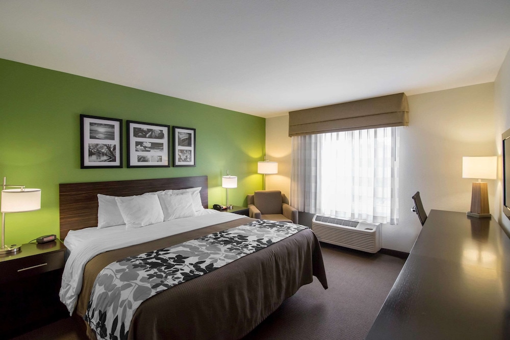 Standard Room, 1 King Bed, Non Smoking - Photo 6