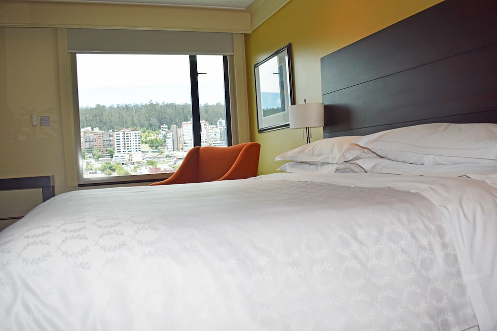 Club Room, 1 King Bed