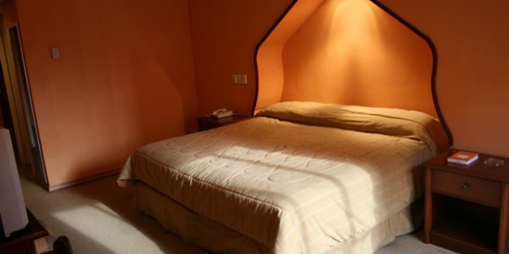 Standard Room, 1 King Bed photo 2