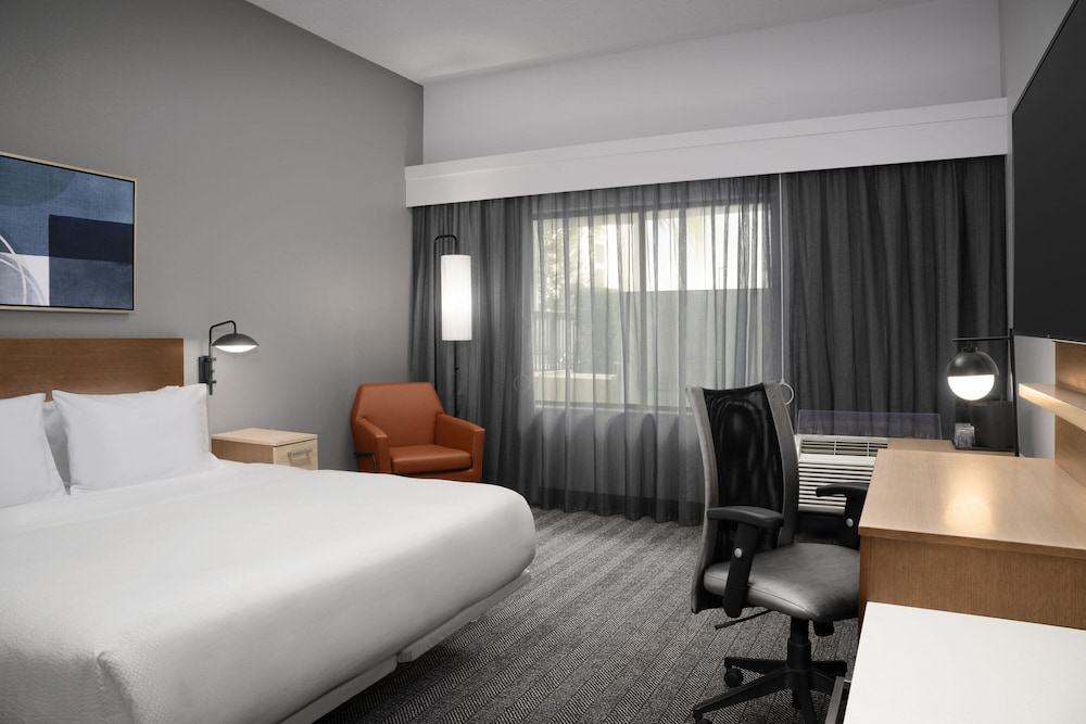 Room, 1 King Bed with Sofa bed