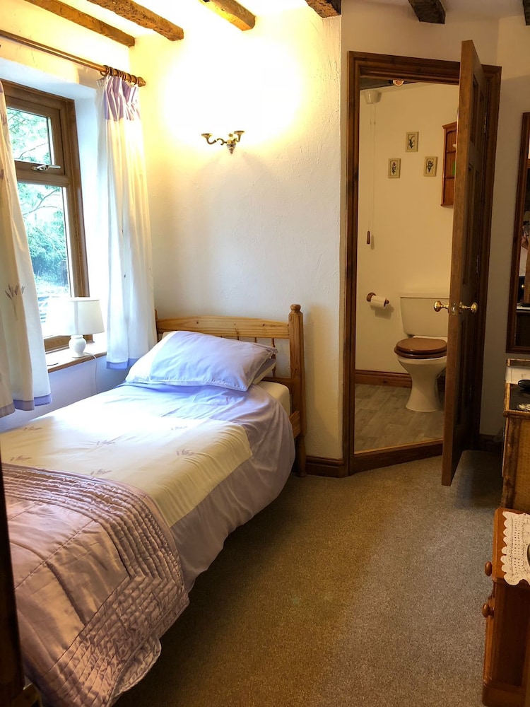 Single Room photo 1