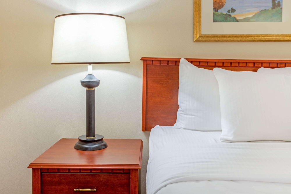 Deluxe Suite, 1 King Bed, Non Smoking (Deluxe Executive Suite) - Photo 5