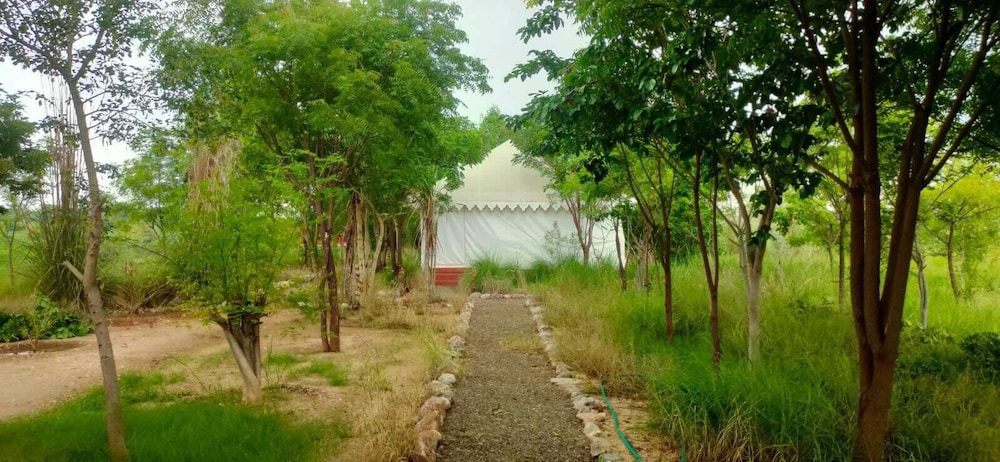 Deluxe Cottage, Valley View photo 3