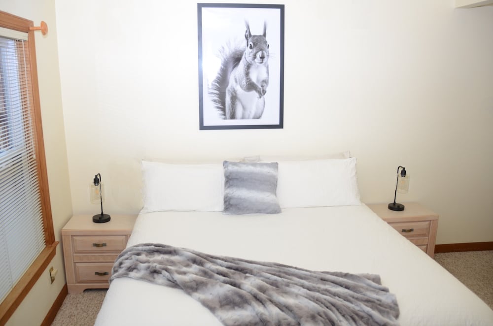 Squirrel Hollow (Room 5)