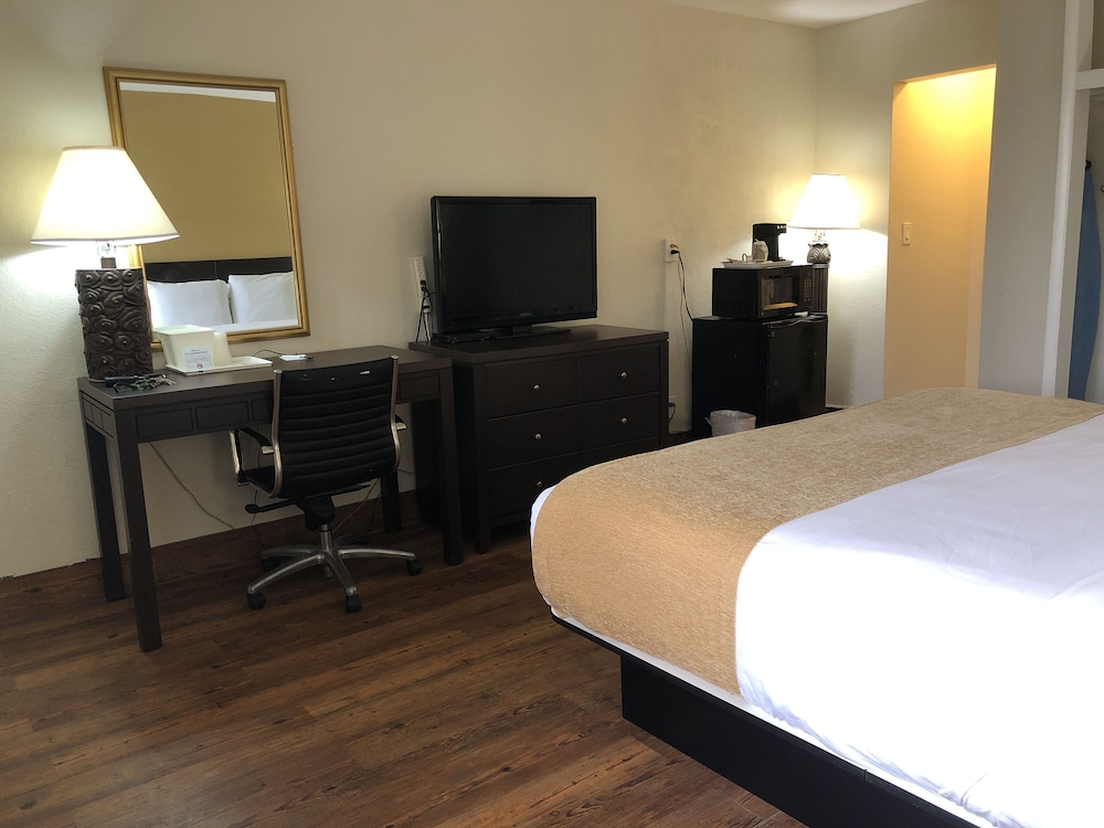 Comfort Single Room, 1 King Bed, Non Smoking photo 3