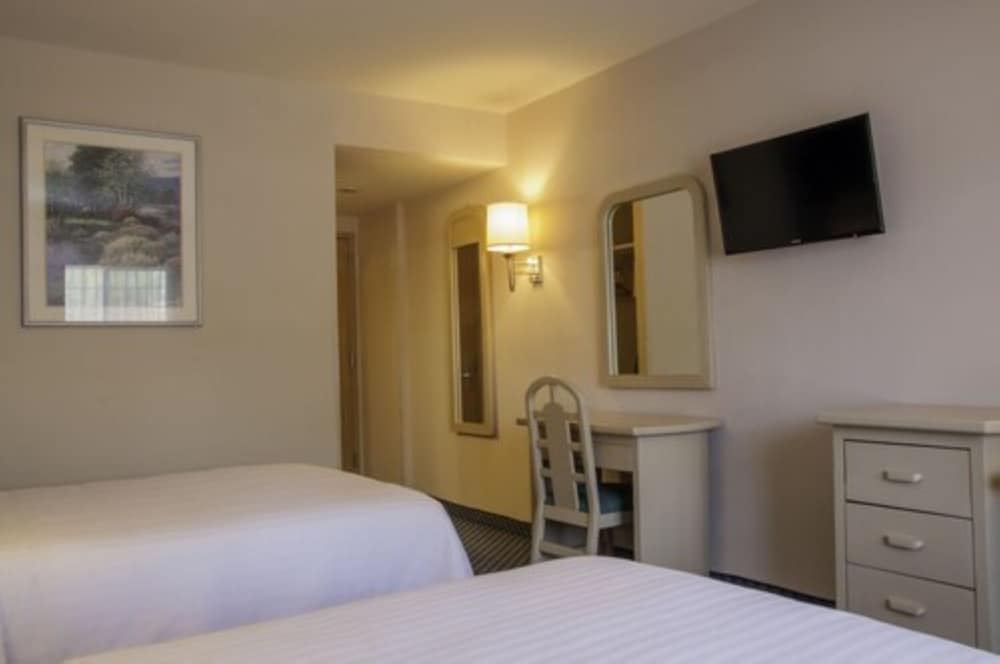 Standard Double Room photo 3