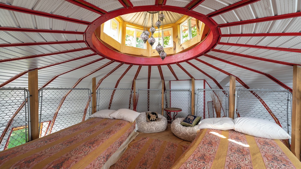 Family Cabin (Beds Are In A Dormitory) photo 3