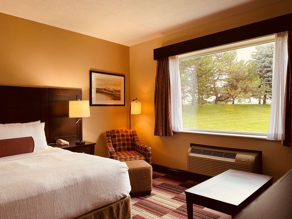 Standard Room, 1 King Bed, Non Smoking, Refrigerator & Microwave - Photo 3