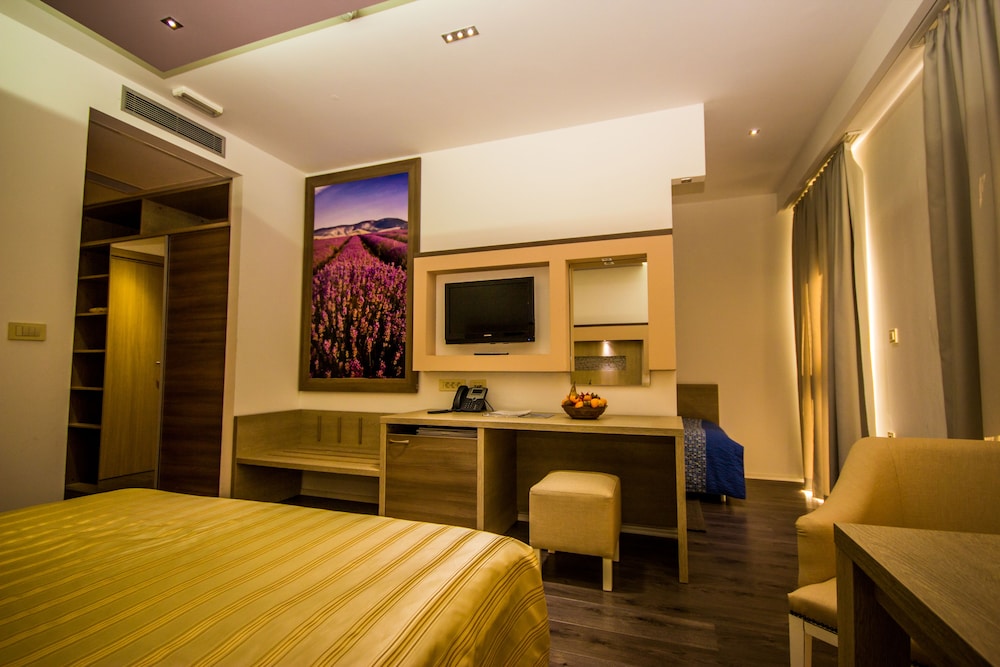 Standard Double or Twin Room, Annex Building (Single Use) - Photo 7