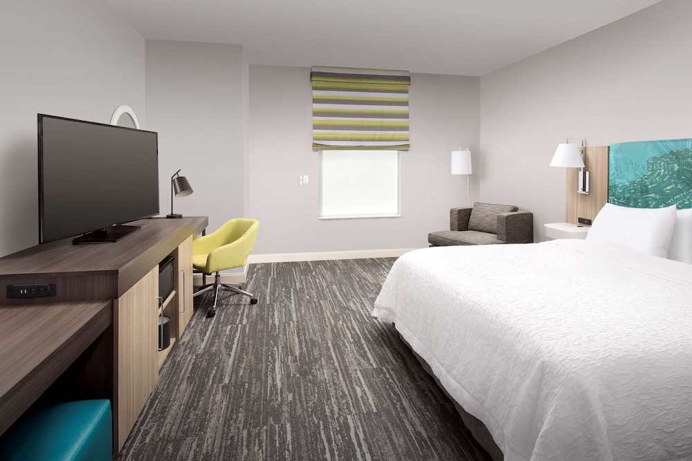Room, 1 King Bed, Accessible, Non Smoking (Rollin Shower) photo 2