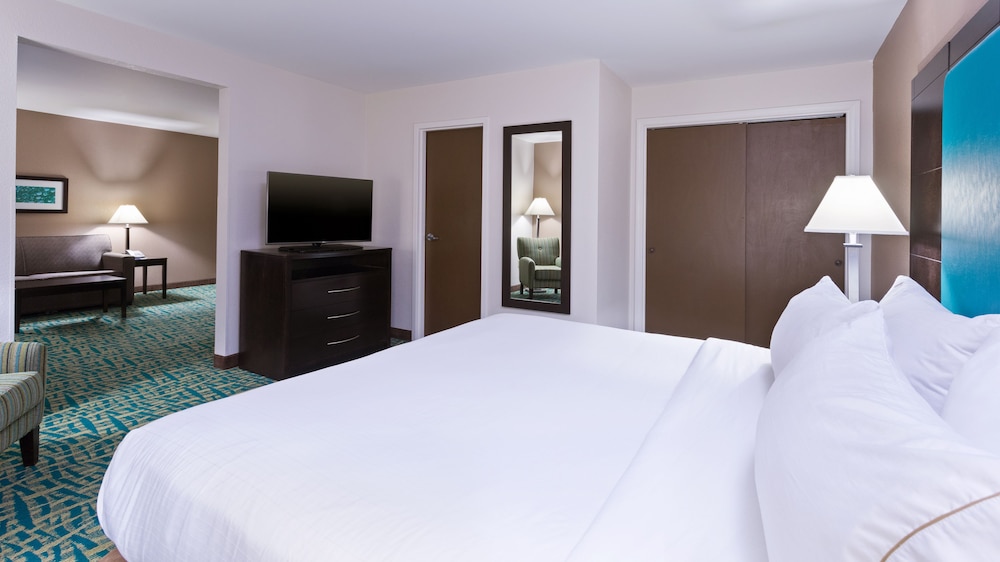 Suite, 1 King Bed, Accessible (Communication, Roll-In Shower) - Photo 2