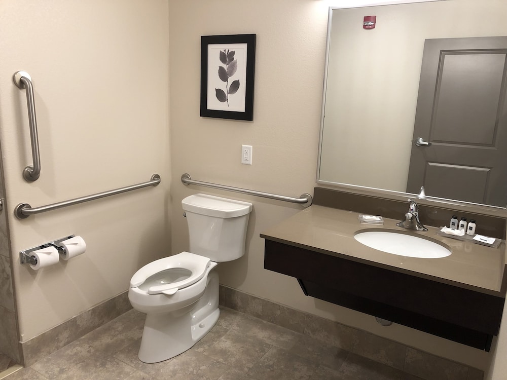Standard King Room ADA photo 3