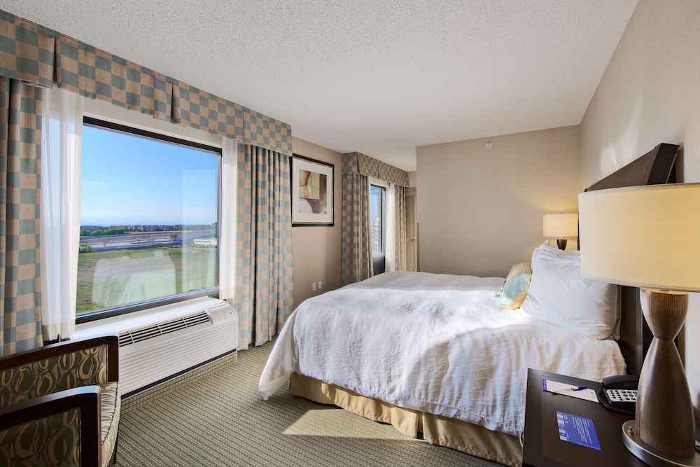 King Evolution Suite photo 1