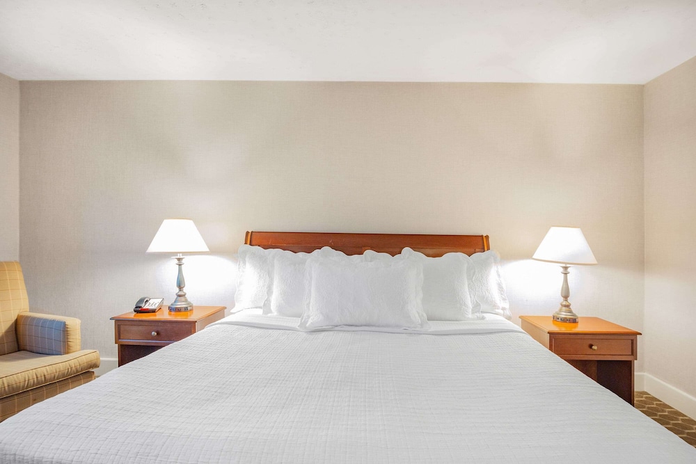 Superior Room, 1 King Bed, Non Smoking photo 2