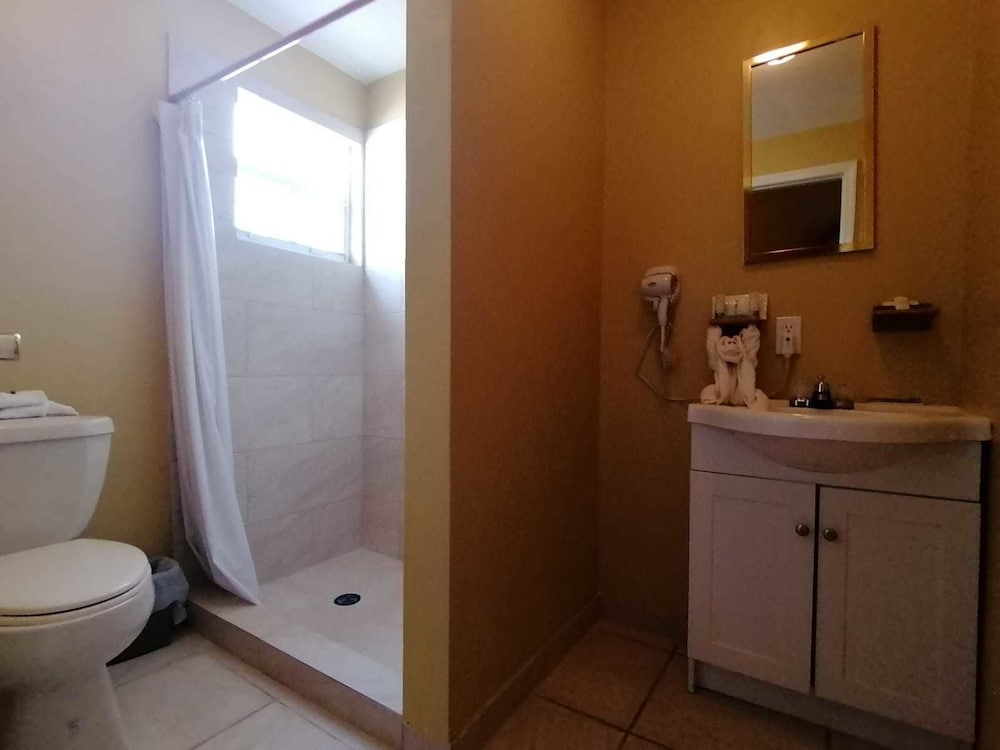 Comfort Single Room, 1 Queen Bed, Accessible, Refrigerator photo 3
