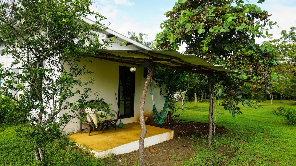 Room, Private Bathroom, Garden View (2 Guest) photo 3