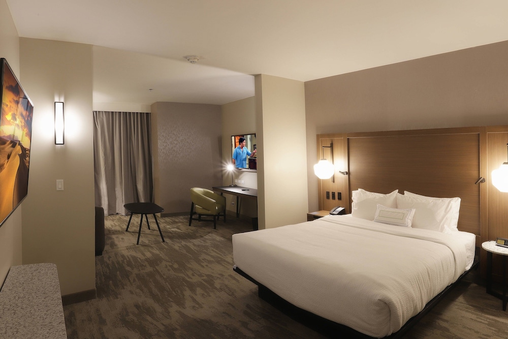 Suite, 1 King Bed with Sofa bed