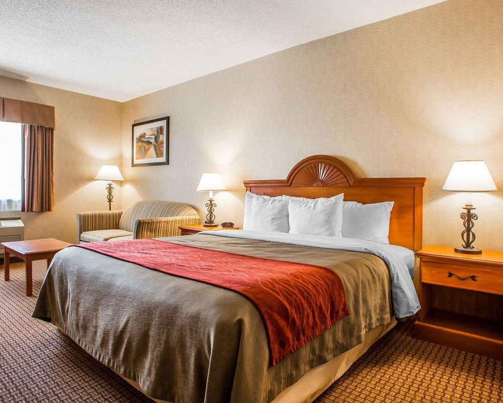 Standard Room, 1 King Bed, Non Smoking - Photo 6