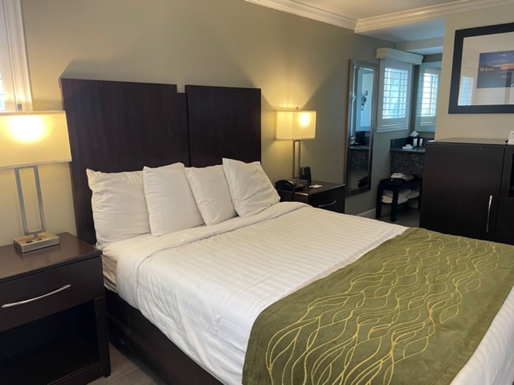 Deluxe Room, 1 Queen Bed photo 2