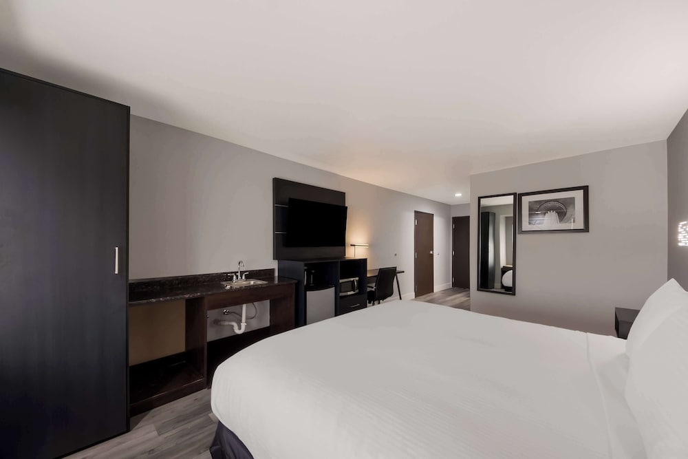 Standard Room, 1 King Bed, Non Smoking, Refrigerator & Microwave - Photo 3