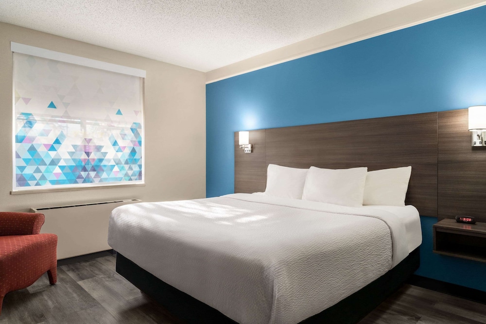 Suite, 1 Bedroom, Non Smoking