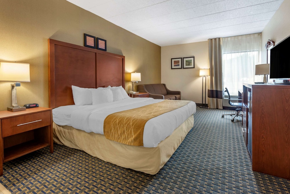 Room, 1 King Bed with Sofa bed, Non Smoking (Upgrade)