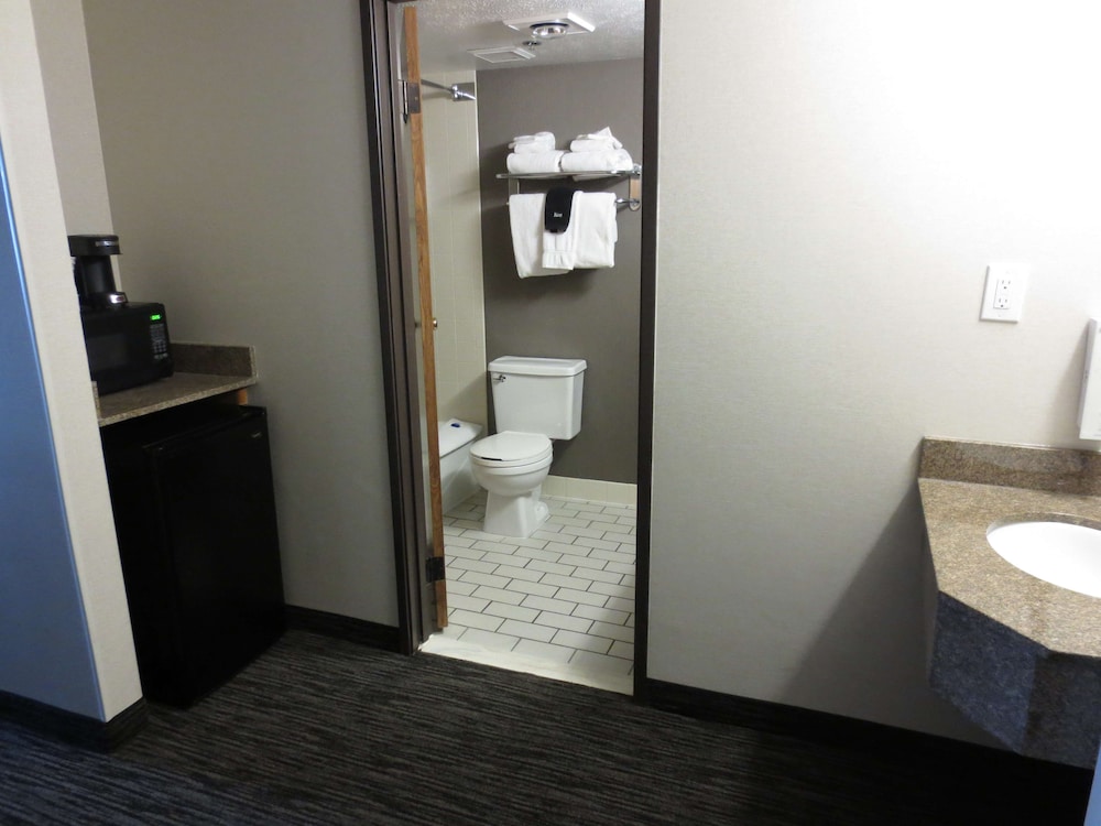 Standard Room, 1 King Bed, Jetted Tub (with Sofabed) - Photo 3