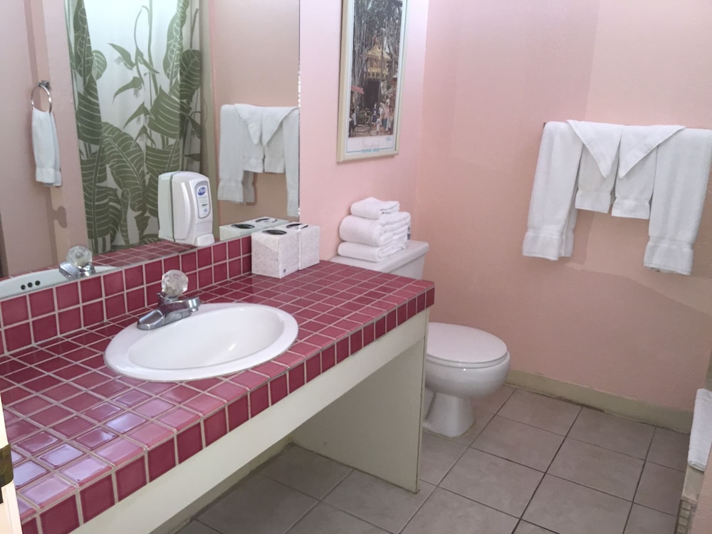 Queen Kitchenette - Photo 26
