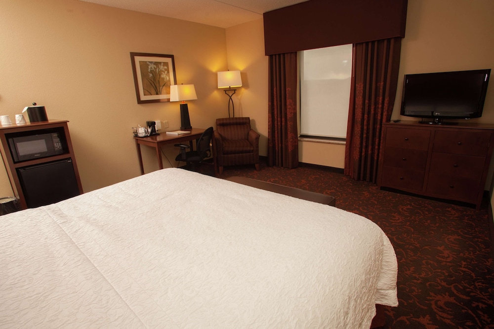 Room, 1 King Bed, Accessible, Non Smoking (Hearing Accessible) - Photo 3