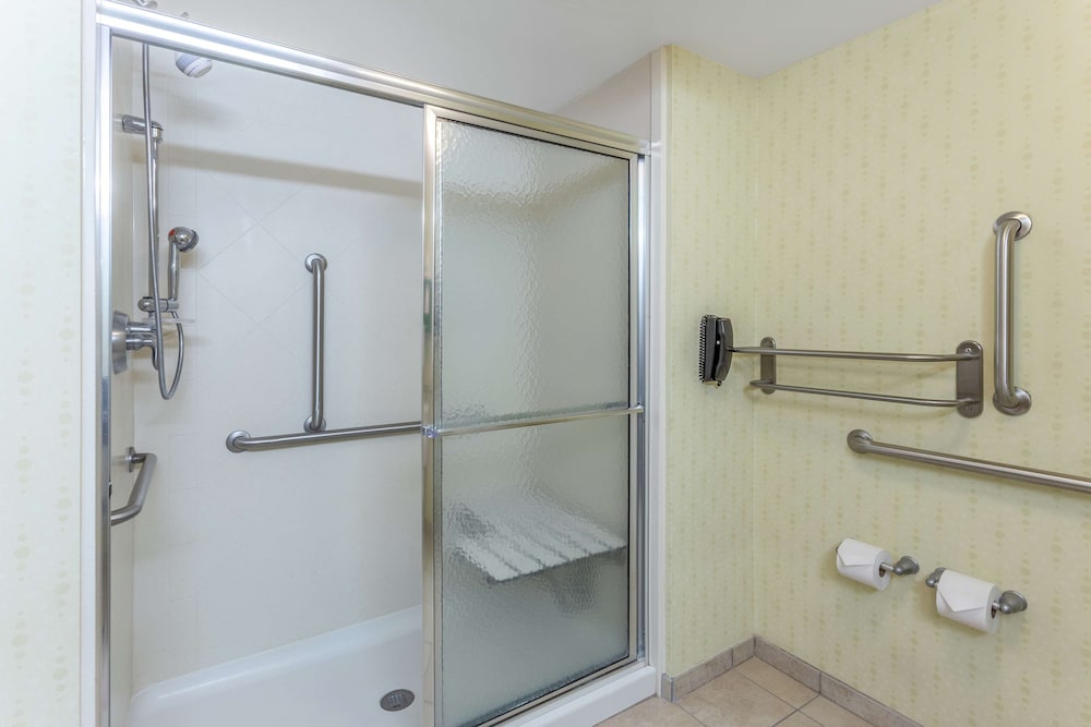 Classic Room, 1 King Bed, Accessible (Roll-In Shower) - Photo 6