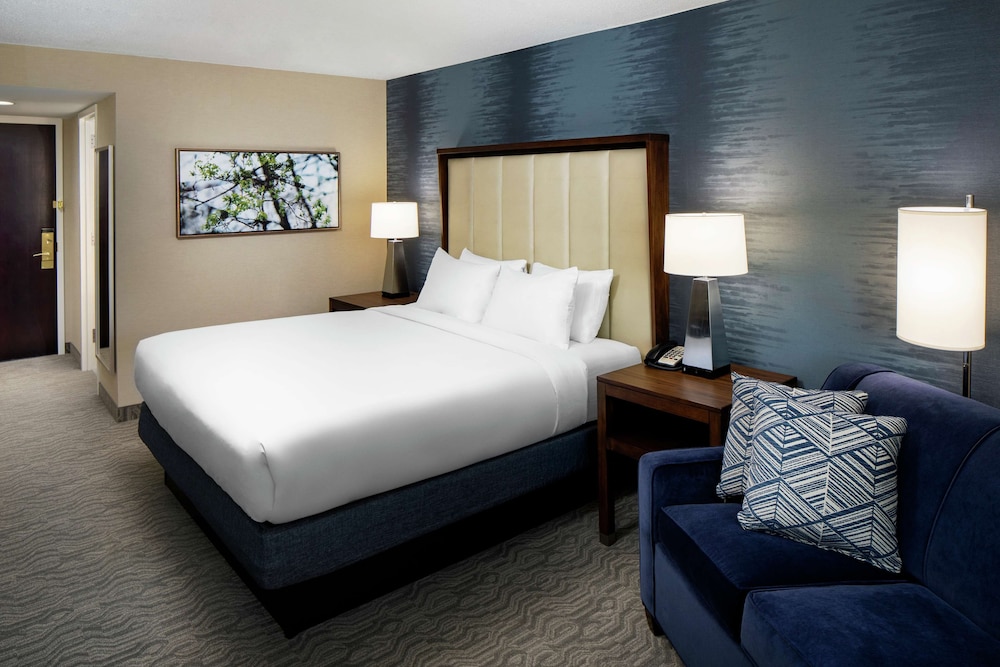 1 King Bed, Hearing/Mobility Accessible Tub - Photo 3