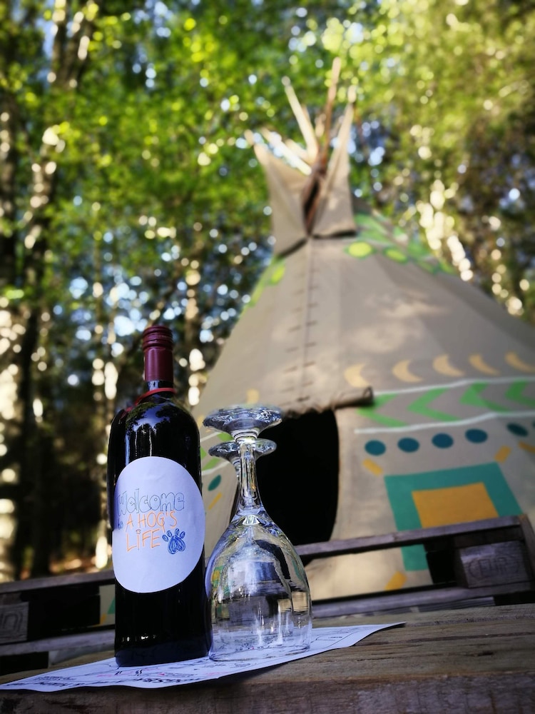 Fire Teepee photo 3