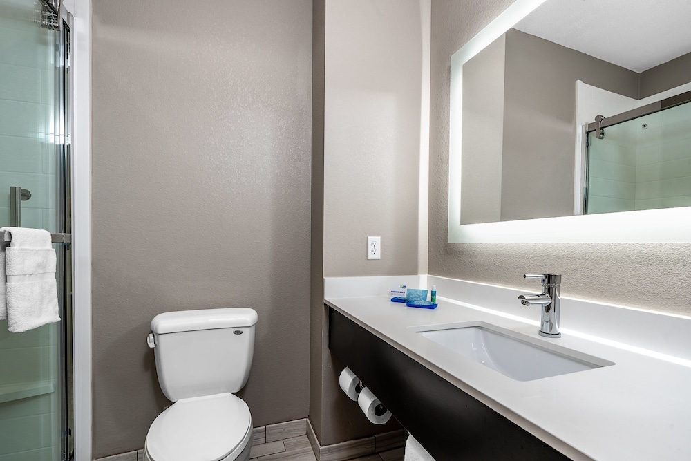 Suite, 1 Bedroom - Photo 7