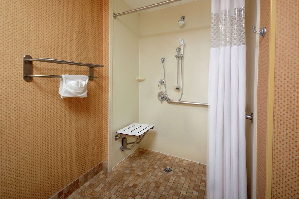 Studio, 1 King Bed, Accessible (Mobility & Hearing, Roll-in Shower) - Photo 5