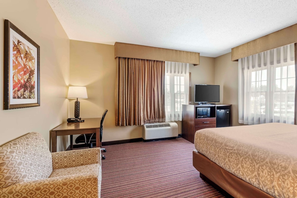 Standard Room, 1 King Bed, Non Smoking, Refrigerator & Microwave (Shower Only;Pet Friendly) photo 1