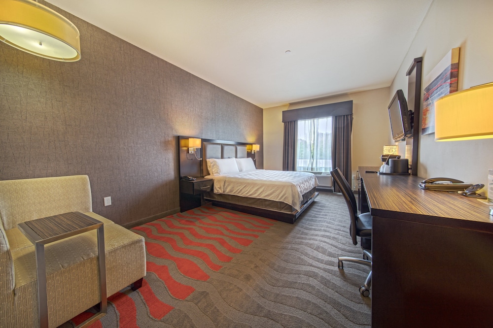 Standard Room, 1 King Bed, Accessible - Photo 6