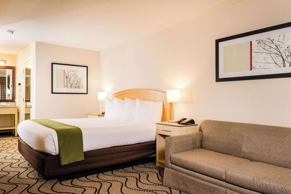 Standard Room, 1 King Bed, Non Smoking - Photo 1
