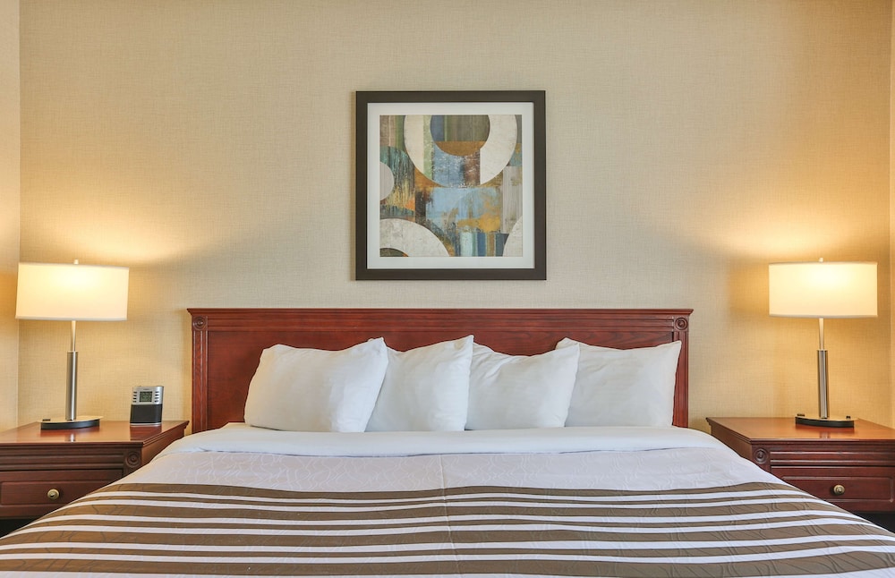 Suite, 1 King Bed, Non Smoking, Refrigerator & Microwave (with Sofabed) - Photo 5