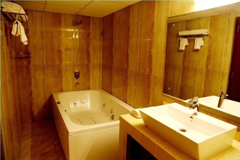 Presidential Suite, 1 Bedroom, Smoking, City View photo 3