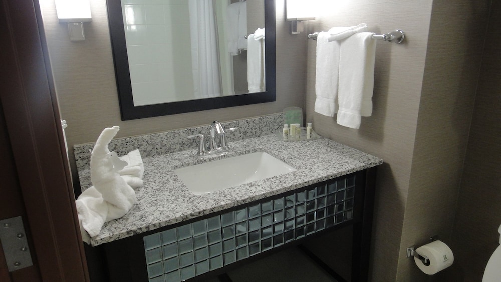 Suite, 1 King Bed - Photo 4