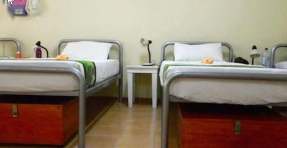 Shared Dormitory (Bed in 4-Bed Ensuite Mixed Dorm) photo 3