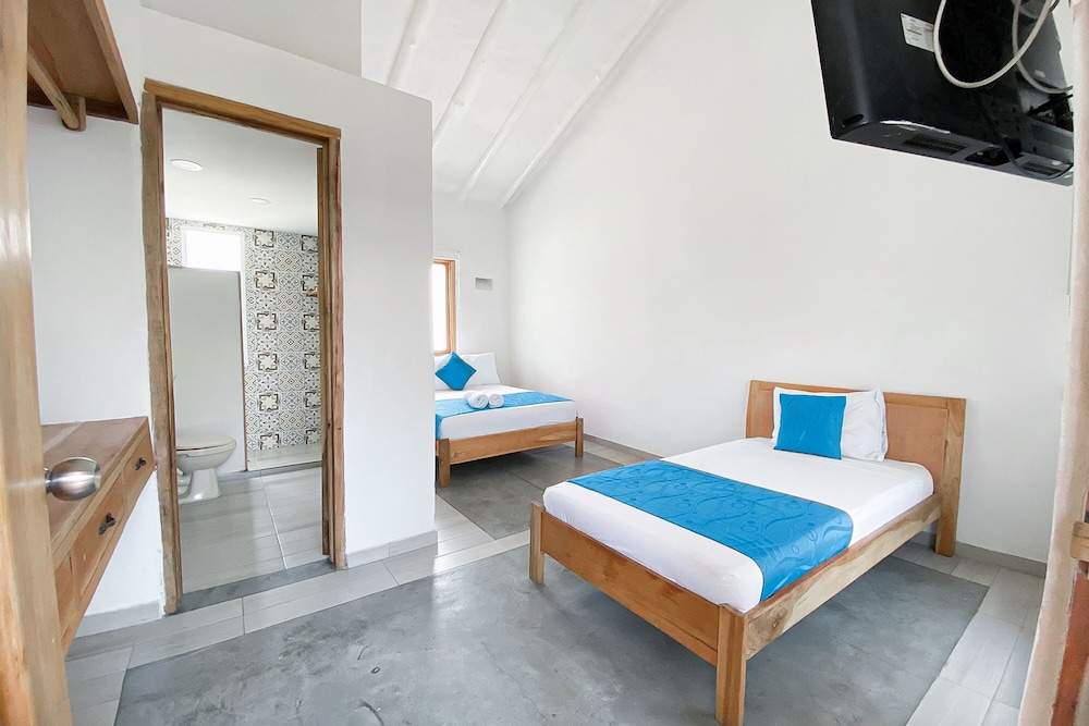 Twin Room photo 2