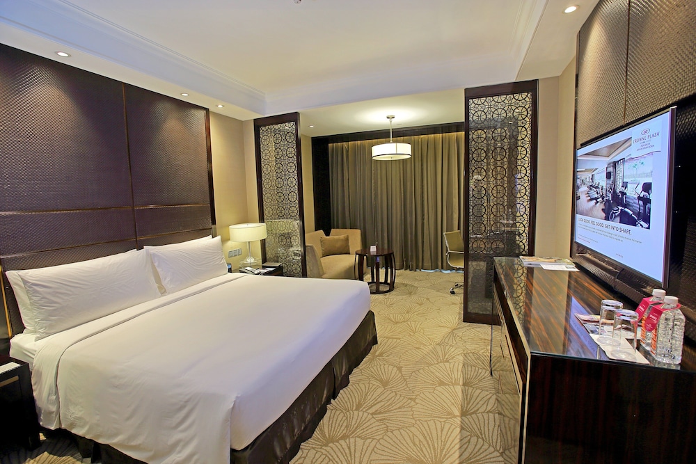 Standard Room, 1 King Bed, Accessible, Pool View - Photo 6