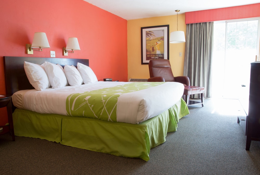Deluxe Room, 1 King Bed